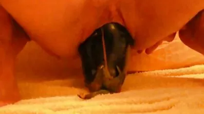 ម្ចាស់ផ្ទះបានចាប់ horny masturbating ស្ត្រីបម្រើនិង fucked នៅក្នុងលានេះ