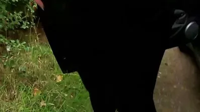 Arse សរសេរ